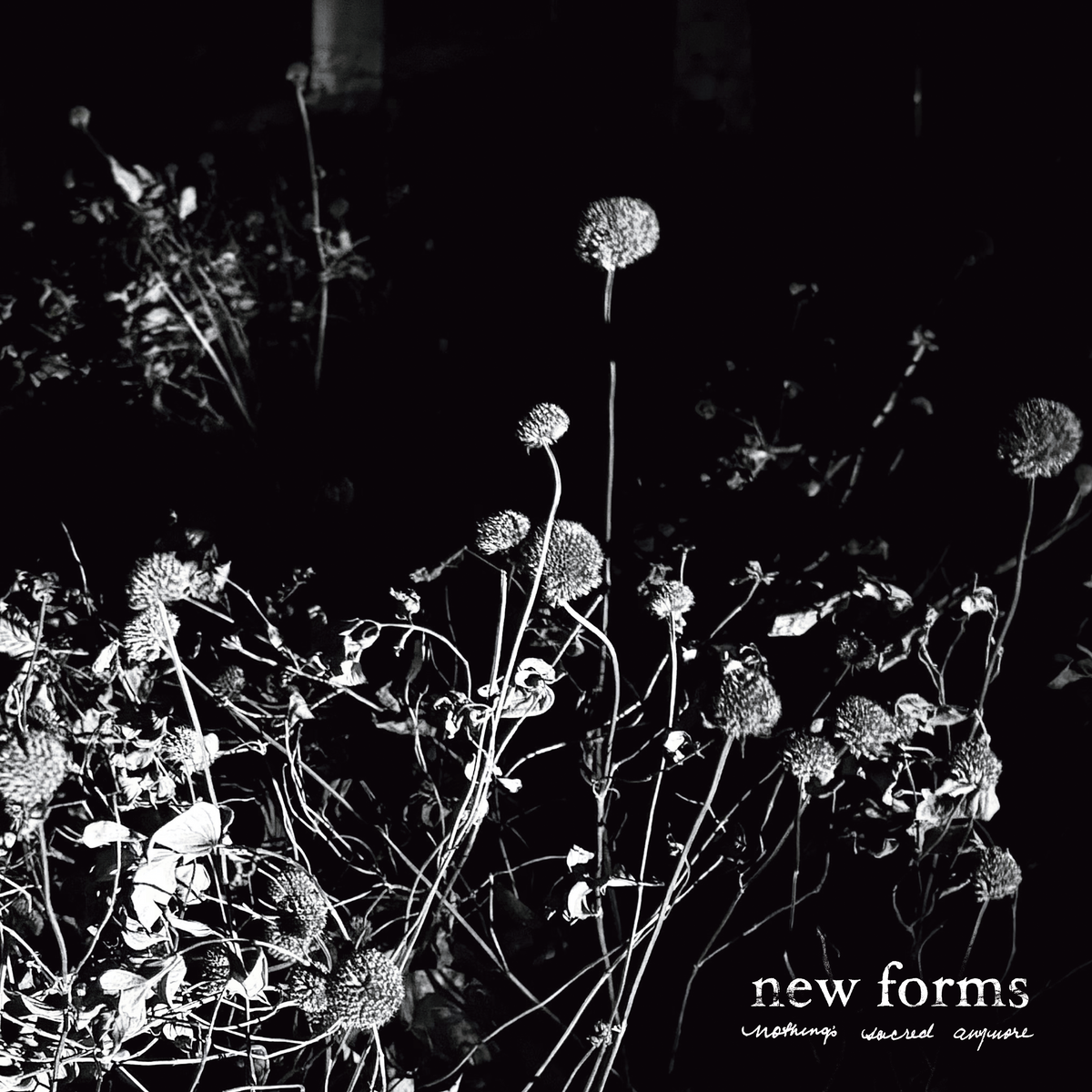 New Forms - 